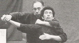 Aikido Mochizuki